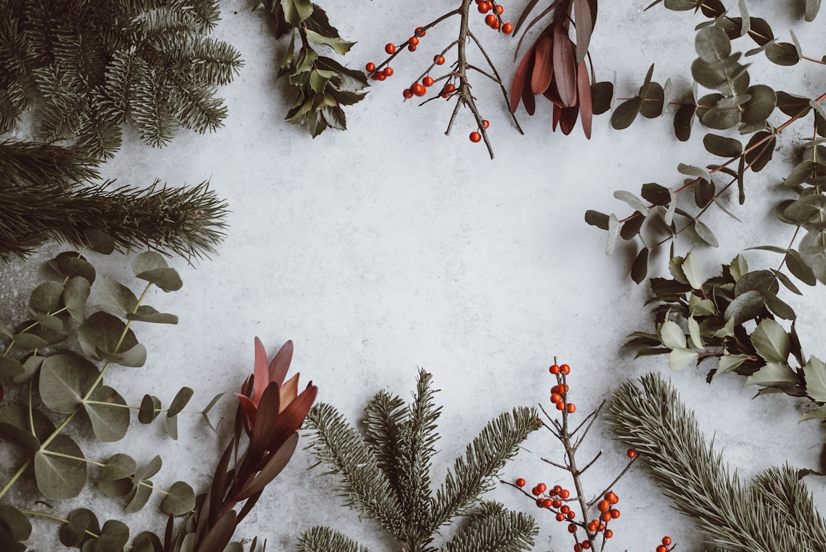 assorted-type of leaves lying on white panel